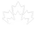 Action Online Casinos